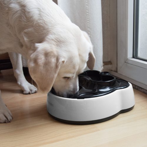 Hranitor automat cu statie de baut pentru caini si pisici, 1.6 litri, 44769.04