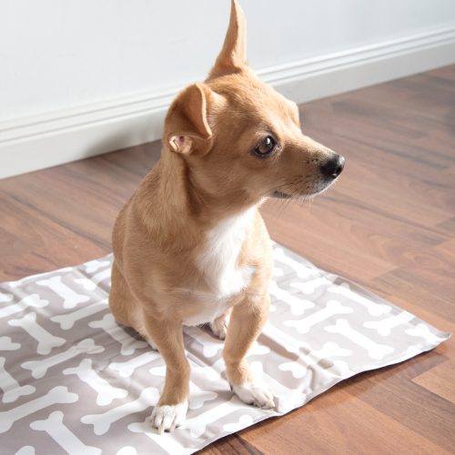 Covor de racire pentru caini si pisici, 40 x 50 cm, 51240.1