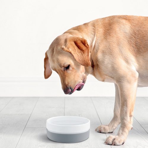 Set 2 Boluri pentru pisici si caini Navaris, Anti-aluneacare, Gri, 53411.22