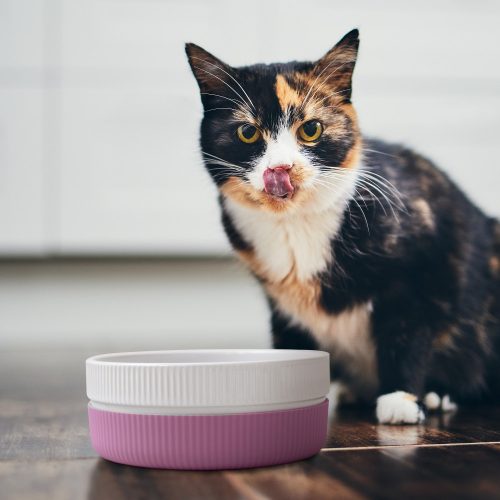 Set 2 Boluri pentru pisici si caini Navaris, Anti-aluneacare, Roz, 53411.08