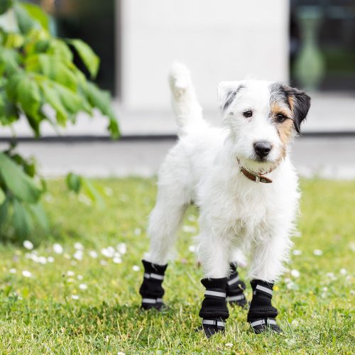 Papuci antiderapanti pentru caini Navaris marimea S, Negru,Textil, 57209.1