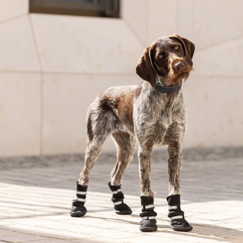 Papuci antiderapanti pentru caini Navaris marimea L, Negru,Textil, 57209.3