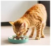 Bol mancare Navaris, ceramica, 20 cm, pentru caini si pisici, slow eating, NAV000025YC001C
